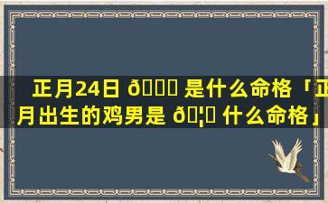 正月24日 🐛 是什么命格「正月出生的鸡男是 🦟 什么命格」